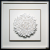 White Blossom